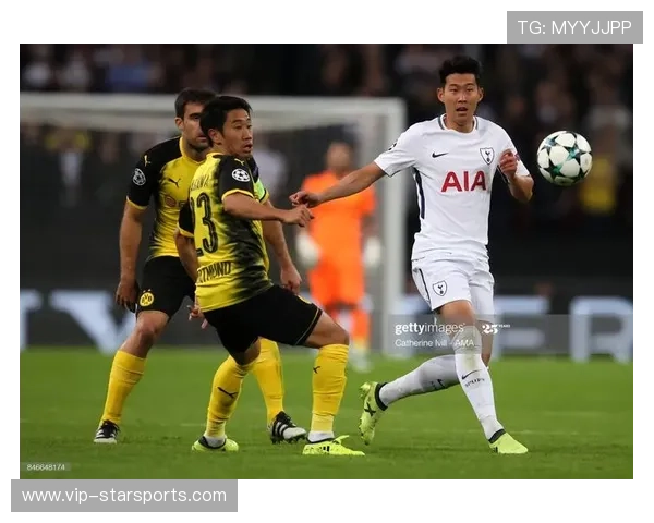 球队历史战绩数据全解析,球员历史记录